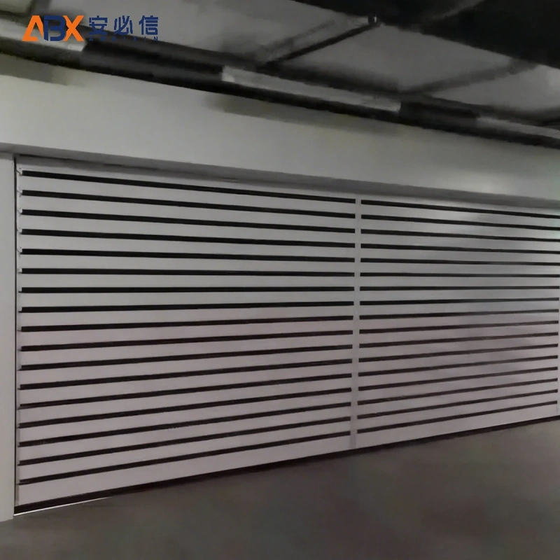 胡杨河洁净室高速门